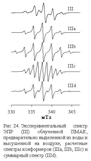 :  
. 24.    (III)  ,        ;    (III, IIIb, IIIc)    (IIId).
